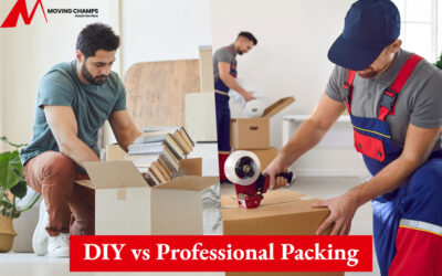 DIY vs Professional Packing: Experts Compare Costs, Time, and Safety