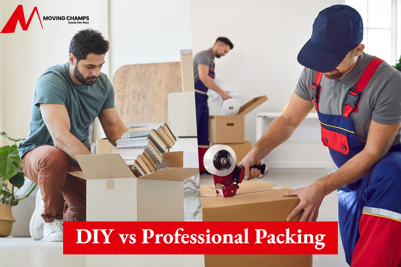 DIY vs Professional Packing: Experts Compare Costs, Time, and Safety