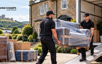 Removals Northumberland: What the Latest Industry Stats Reveal